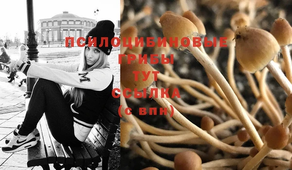 марки nbome Магас