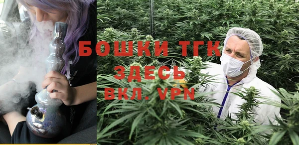spice Покачи