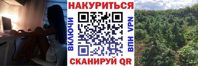 как найти закладки  Мурино  mega ONION  МАРИХУАНА AK-47 